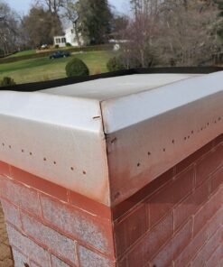 Dalen Fake Owl Decoy to Scare Birds Away from Gardens, Rooftops, and Patios - Scarecrow Provides Chemical-Free Pest Control - Safe and Humane, 18" 360º Rotating Head 36 717LLgu96EL