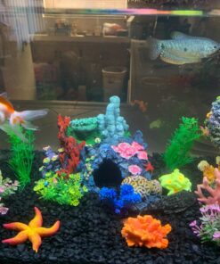 Exotic Environments Caribbean Living Reef Aquarium Ornament, Small , 7-1/2-Inch by 5-1/2-Inch by 5-1/2-Inch Small, 7.5" X 5.5" X 5.5" 11 717McR jHxL