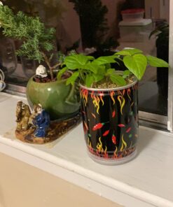 Moruga Scorpion Pepper - Grow Your Own Hottest Pepper in the World! - 2,000,000SHU 3oz/85gr 27 717MptHs1fL 1