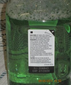 GOJO Botanical Foam Handwash, Botanical Fragrance, 700 mL Hand Soap Refill for GOJO ADX-7 Push-Style Dispenser (Pack of 4) - 8716-04 Green 16 717NNoEKhkL