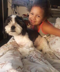 Roku Express+ | HD Streaming Media Player, Includes HDMI and Composite Cable 33 717NwQtXbvL