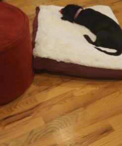 Armarkat Pet Bed Mat 28 by 22 by 5, M02HJH/MB-Medium, Ivory 28.0"L x 22.0"W x 5.0"Th 28 717OEH55pL 1