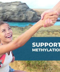 Seeking Health HomocysteX Plus, Active B Complex Vitamin Supplement to Support Homocysteine Level and Methylation, Vitamin B12, Folate (as L-methylfolate), MTHFR Gene Support, Vegetarian (60 capsules) 13 717QlFAuXEL