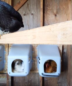 Little Giant® Plastic Chicken Nesting Box | Chicken Nest Box for Laying Hens | Chicken Bed | Egg Laying Chicken Box | Chicken Perch | Nesting Box for Chicken Coops 28 717Sf4AhMYL