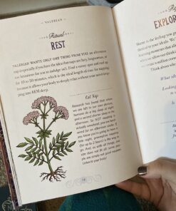 The Illustrated Herbiary: Guidance and Rituals from 36 Bewitching Botanicals (Wild Wisdom) 44 717U5H2ltwL