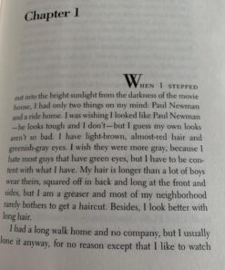 The Outsiders 19 717VmzgR7XL