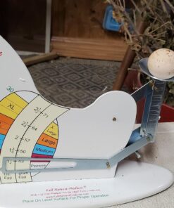 The Incredible Egg Scale 1 30 717XKObtAoL
