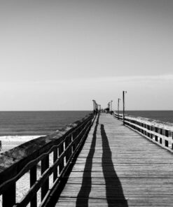 Nikon D500 DX-Format Digital SLR (Body Only), Base 74 717Xb04QzpL