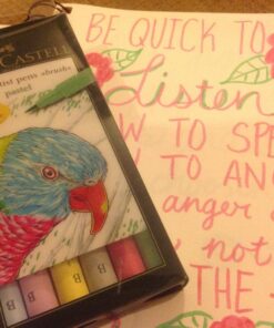 Faber-Castell Pitt Artists Pen Brush Pastel (Wallet of 6) 1 _ 13 717Z84WZf0L