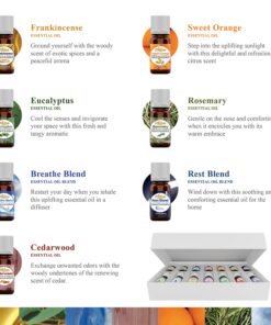 Artizen Top 14 Essential Oil Set for Diffuser, Aromatherapy and Candle Making - Fall Holiday Fragrance Scents with Lavender, Frankincense, Eucalyptus Oils and More Top 14 Aromatherapy Set 0.17 Fl Oz (Pack of 14) 27 717ZG0LR8SL