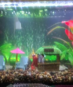 Tetra Whisper Bio-Bag Filter Cartridges For Aquariums - Unassembled BLUE Large 12 Count - Original 24 717bMSsQ4kL