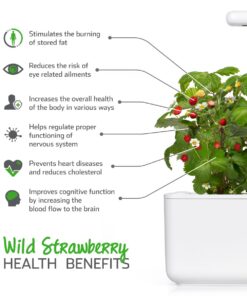 Click and Grow SGR24x3 Smart Garden Wild Strawberry Plant Pods, 3-Pack 25 717cjDH4UL