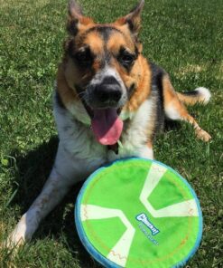 Chuckit Max Glow Paraflight Flying Disc Dog Toy, Large (9.75"), Green And White Green/Max Glow 22 717guLk27OL