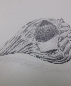 Tombow 51523 MONO Drawing Pencil Set, Assorted Degrees, 12-Pack. Professional Quality Graphite Pencil Set with Eraser and Sharpener 39 717hhIiBqvL