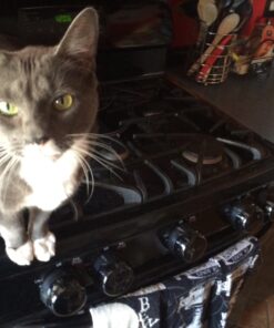 Safety 1st Stove Knob Covers, 5 Count 32 717k0bmP6jL