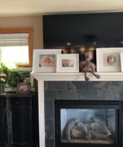 Jellycat Mad Pet Odette Ostrich Stuffed Animal, Medium, 20 inches 25 717lA1rv38L