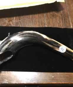 Judaica Mega Mall Kosher ODORLESS Polished Natural Rams Horn | Smooth Mouthpiece for Easy Includes Carrying Bag and Shofar Blowing Guide | Medium Size (12”-14”) (Jud-0651) 12"-14" 17 717m9UAznbL
