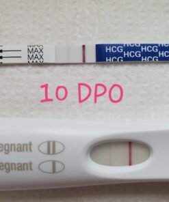 Pregmate 100 Ovulation and 20 Pregnancy Test Strips Predictor Kit 120 Piece Set 34 717mx0 kOL