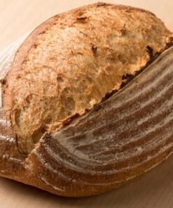 SOURDOUGH - THE ULTIMATE GUIDE TO MAKING SOURDOUGH BREAD /ANGLAIS 31 717nILACZL