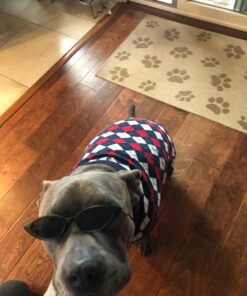 Blueberry Pet Chic Argyle All Over Dog Sweater in Navy Blue, Back Length 20", Pack of 1 Clothes for Dogs 20 inch (Pack of 1) Argyle Navy Blue 26 717nIuWTgjL 1