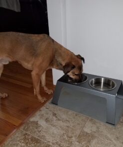 PetFusion Elevated Dog Bowls in Premium Anodized Aluminum Stand (Tall 8"). 2 US FOOD GRADE Stainless Steel 56oz bowls, Metallic Gray Tall - 8" 26 717osTNmxRL