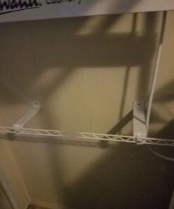 Avanti WDB101, Color 22 717pJXRhg8L