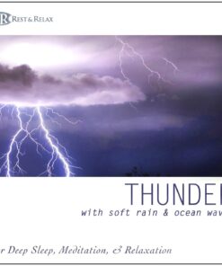 NATURE SOUNDS Set - Ocean Waves, Forest Sounds, Thunder, Nature Sounds with Music for Deep Sleep, Meditation, & Relaxation Nature Sounds 4 Album Set: Ocean Waves / Forest Sounds / Thunder / Nature Sounds with Music 9 717plVOUZXL