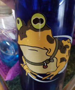 Hypnotoad Vinyl Car Sticker Decal | Sticker | 5" 4 717qjyoZfgL