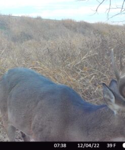 Moultrie Feed Station, Choose Model Feed Station II 30 717uxsMvvL