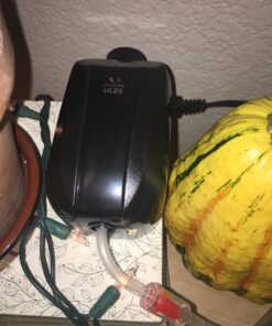 Uniclife Aquarium Air Pump Dual Outlet Fish Tank Aerator with Accessories for Up to 100 Gallon Tank 5 - 30 Gallons 41 717vJpUM9mL