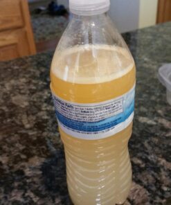 Gatorade Endurance Formula Powder, Orange, 32 Ounce (Pack of 1) 32 Ounce (Pack of 1) 25 717vdfJXzrL