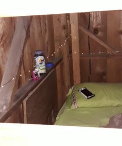 ANJAYLIA 16.5Ft 50 LED Fairy Lights Battery Operated String Lights for Party Home Wedding Festival Decoration, Warm White 37 717voKXwIOL