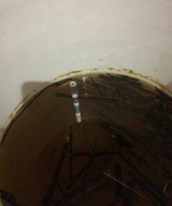 Brewer's Elite Hydrometer - for Home Brew Beer, Wine, Mead and Kombucha - Deluxe Triple Scale Set, Hardcase and Cloth - Specific Gravity ABV Tester Hydrometer Set 47 717vpLk9cL