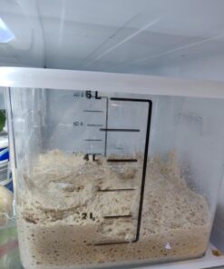 The New Healthy Bread in Five Minutes a Day: Revised and Updated with New Recipes Hardcover 9 717wMdgvybL