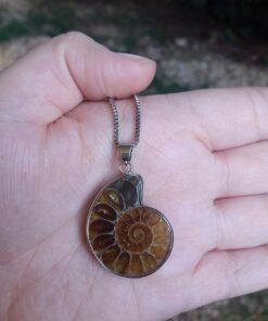 JOYA GIFT Charm Handmade Natural Conch Fossil Ammonite By Silver Wrapped Pendant Necklace (1 PCE). 49 717yCFSnXjL