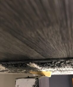 Home Premium Door Stoppers for Bottom of Door, Rubber Door Stop Wedge (4 Pack, White) 4 Pack 24 717z5dVmaGL