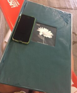 Fabric Frame Cover Photo Album 300 Pockets Hold 4x6 Photos, Majestic Teal 30 7180ux9b2WL