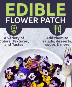 Wildflower Seeds Edible Flowers Mix - 1 Ounce Over 7,000 Open Pollinated Annual and Perennial Seeds 1 Ounce Packet 30 7181MjbsljL