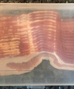 Home-X Bacon Saver, Plastic Bacon Container/Kitchen Meat Saver Storage Container 17 7181och9BDL