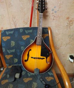 Savannah SA-100 A-Model Mandolin, Sunburst 7 7182gSLg7TL