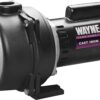 Wayne WLS150 1.5 HP High Volume Cast Iron Lawn Sprinkling Pump, 1-1/2-Horsepower