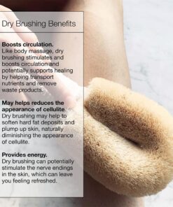 Ginger Chi Dry Brush for Skin, Dry Brushes for Body - Natural Bristle Brush for Dry Brushing Skin (Sisal Dry Brush) 20 7184I7xewBL