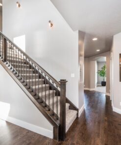 Nikon D750 w/ 24-120mm Lens 62 7184Ia4bxqL