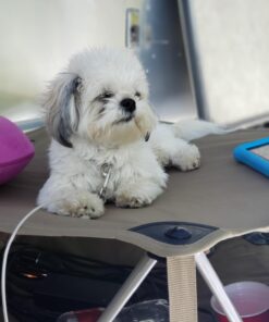 ALPS Mountaineering Eclipse Table Khaki 32 7185 BiDlL