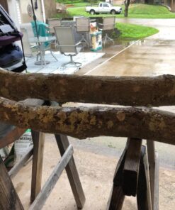 2funguys Shiitake Plug Spawn Starter Kit - Grown Your Own Mushrooms 29 71863ZC88vL