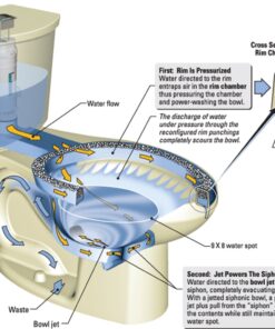 American Standard 2886518.020 H2 Option Siphonic Dual Flush Right Height Elongated Toilet with Liner, White, 2-Piece 12 7186H3576 L