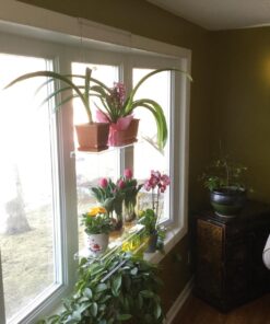 Beautiful Views Hanging Window Plant Shelves (4 Shelves) 4 Shelves 20"x6"x54" 47 71877gG9qDL