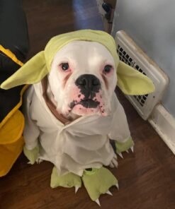 Rubie's Toddler Yoda Costume Small (4-6) 15 7188uI12uPL