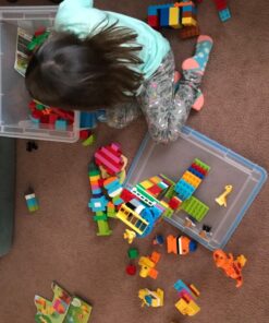 LEGO DUPLO My First Bricks 10848 Colorful Toys Building Kit for Toddler Play and Pretend Play (80 Pieces) 20 718A7R8N0ZL