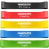 Panathletic Resistance Bands, Set of 5 Bands – 5 Different Resistance Levels, Exercise Guide, eBook, Carry Bag – 5X Booty Loop Band for Butt and Legs Women - Fitness Stretch Band for Workout Men Multicolor 58 718ALH8kWVL